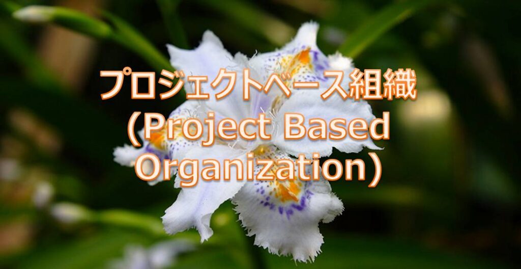 プロジェクトベース組織(Project Based Organization)