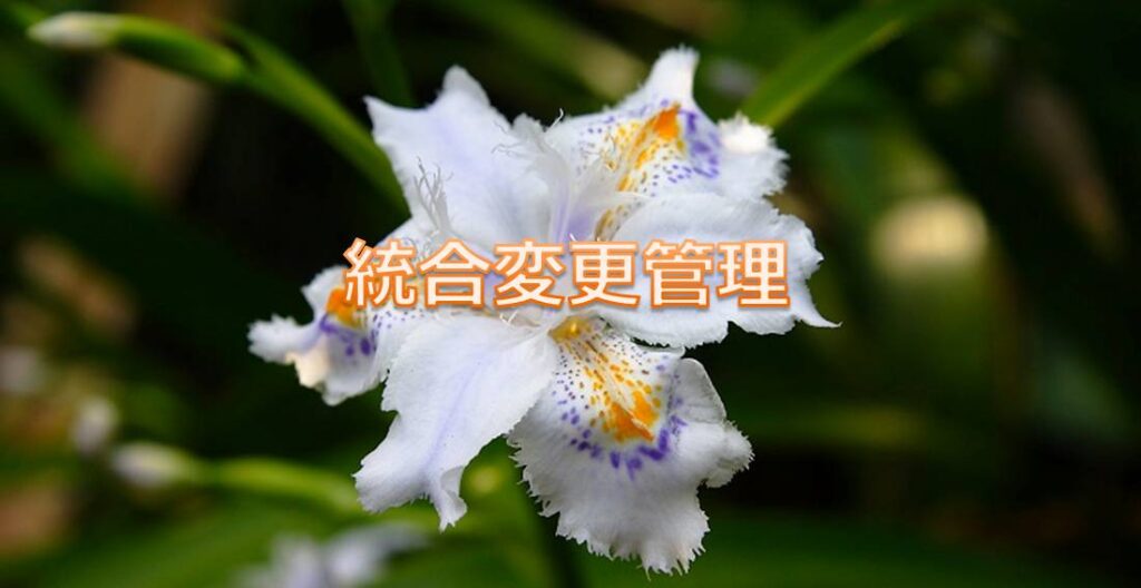 統合変更管理(Perform Integrated Change Control)