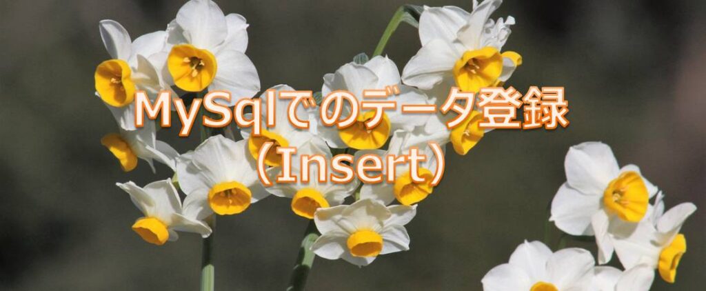 MySqlでのデータ登録(Insert) MySqlでのデータ登録(Insert)