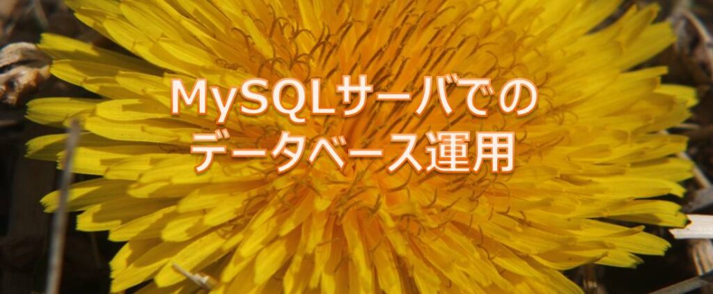 MySQLサーバでのデータベース運用 MySQLサーバでのデータベース運用