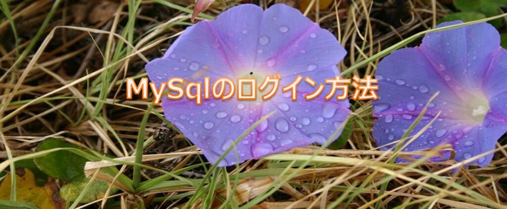 MySqlのログイン方法 MySqlのログイン方法