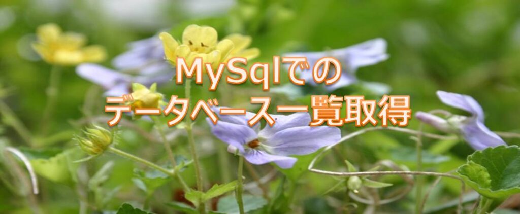 MySqlにてデータベース一覧取得 MySqlにてデータベース一覧取得