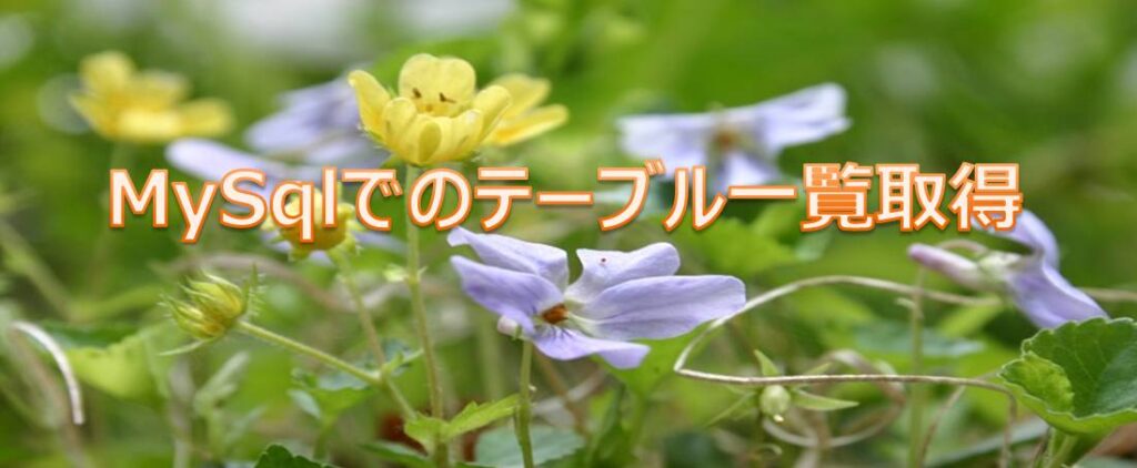 MySqlでのテーブル一覧取得 MySqlでのテーブル一覧取得