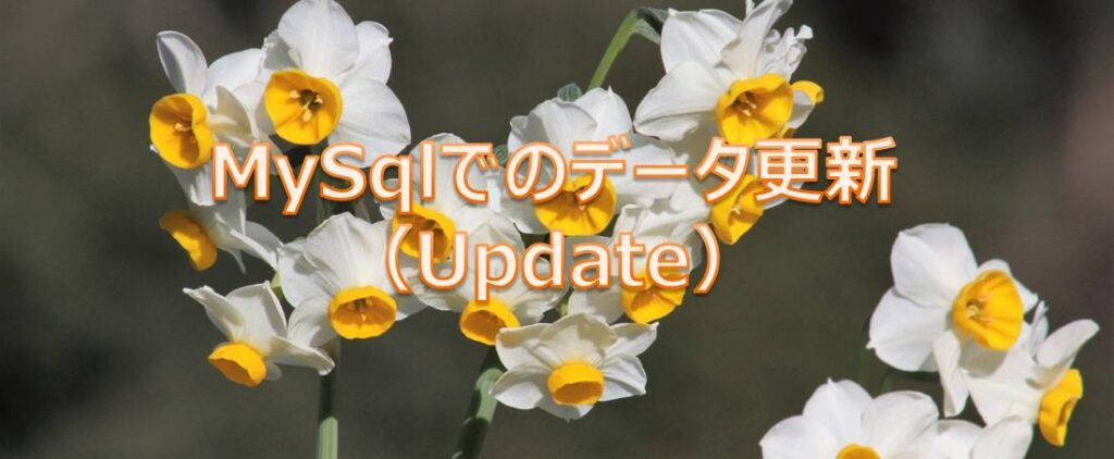 MySqlでのデータ更新(Update) MySqlでのデータ更新(Update)