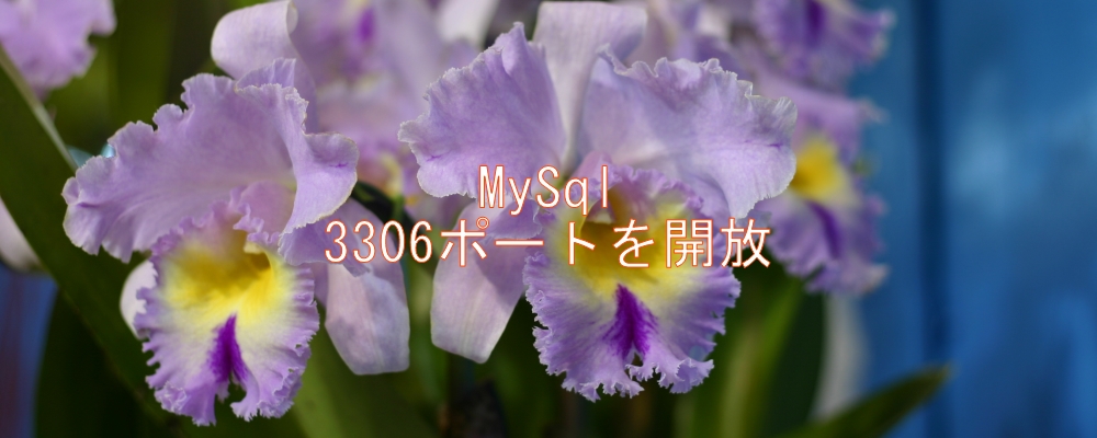 MySQLで3306ポートを開放 MySQLで3306ポートを開放