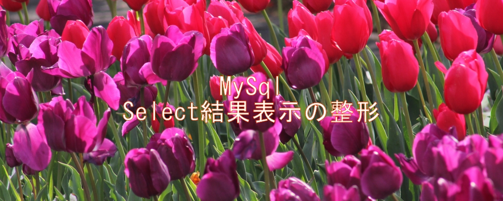 Select結果表示の整形 Select結果表示の整形