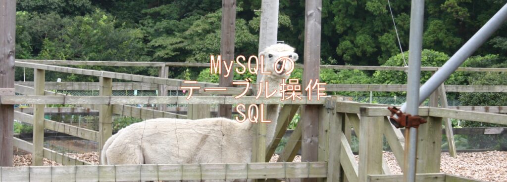 MySQLのテーブル操作SQL MySQLのテーブル操作SQL